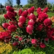 310a5015-a8cc-4830-aa14-afe151fc5d2b-i-2026-08-05t101642.900.webp