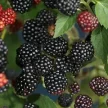 d06b5d94-3802-492f-8807-cdf611cefff2-i-2026-08-07t145808.440.webp