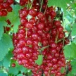 581e7bf5-e6ca-4637-ae0a-7b8d5cf9becc-i-2026-08-12t151004.189.webp
