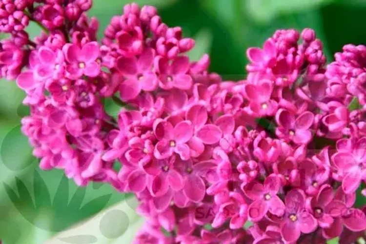 8eb51eb6-d4c2-4b60-bc27-683f698d67d5-i-2026-08-07t133503.046.webp