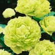 1bb41e7c-d163-4ec8-a70c-13aec6d068db-i-2026-08-12t121820.542.webp