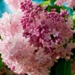 a08070e2-7d4d-4d02-a2eb-b67a51e3d56e-i-2026-08-07t093156.652.webp