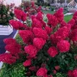 01b51dcf-c388-433c-b1a4-5bb37b3e0f01-i-2026-08-05t101604.191.webp