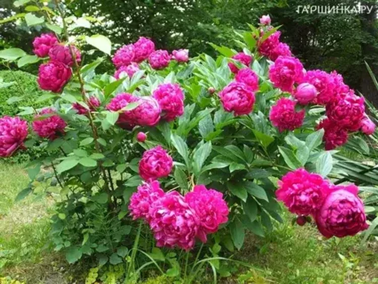 2abee66f-ee55-4982-885c-895f7a76a19d-i-2026-08-12t110502.159.webp