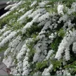 0f46ed0e-6210-4892-a778-3ae6f1bbc530-i-2026-08-11t135428.964.webp