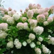 212a2619-b365-4cbe-ba29-7718e43df7db-i-2026-08-05t103935.911.webp