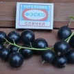 36e60fda-4b29-46fe-8e0c-1af799f72a42-i-2026-08-12t110609.340.webp