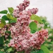73be2c46-c56d-4d69-9ccb-b9c8ab247437-i-2026-08-06t143957.044.webp