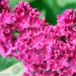 8eb51eb6-d4c2-4b60-bc27-683f698d67d5-i-2026-08-07t133503.046.webp
