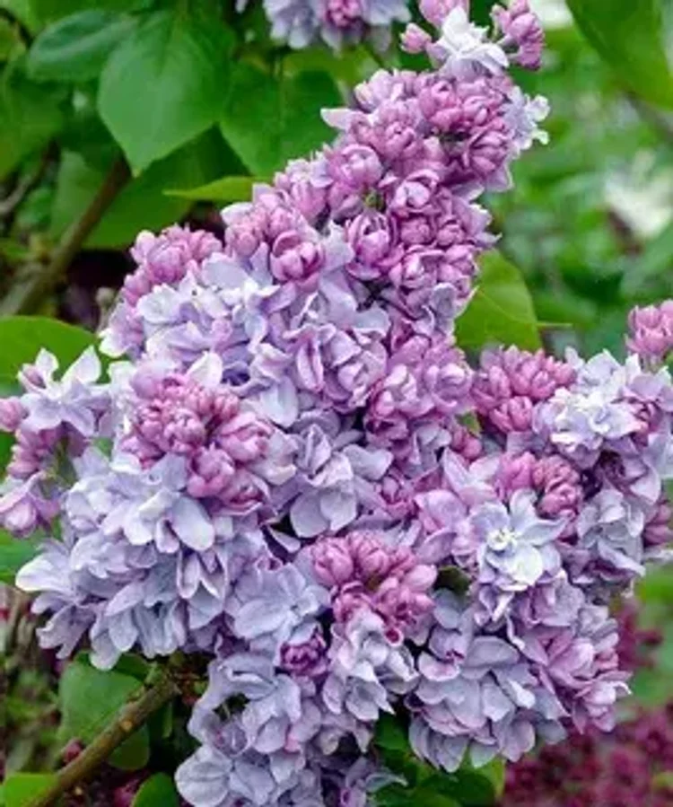 0760730f-6cb5-450f-9195-c0751aca6523-i-2026-08-10t142030.770.webp