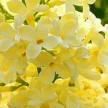 5c233c24-d6a8-4f1e-b55e-472d98d0b9c5-i-2026-08-07t115004.265.webp