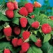 4ccbb272-432a-463e-99e7-65db8e2d5be3-i-51.webp