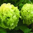 7d7e7312-2587-4daa-818a-4f7d9193df10-i-2026-08-12t114929.691.webp