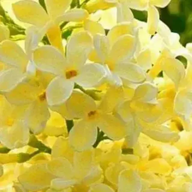 5c233c24-d6a8-4f1e-b55e-472d98d0b9c5-i-2026-08-07t115004.265.webp