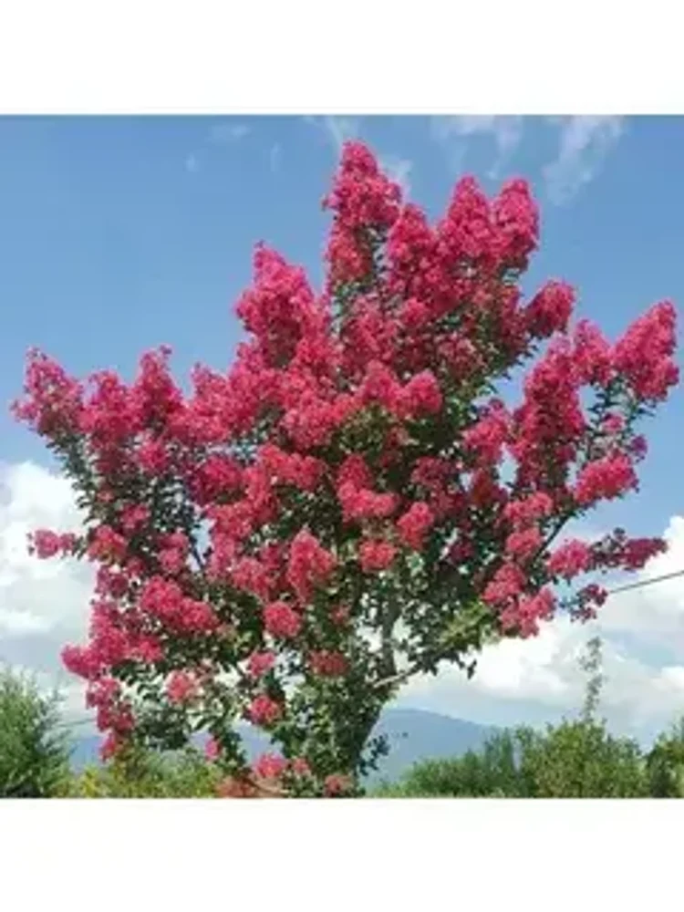 36bbb8ad-5b3f-450d-b785-1fed1b4bab32-i-2026-08-07t133450.376.webp