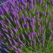 0c0ea841-4d29-4e85-8dcf-e2c77434d08e-i-2026-08-11t144945.901.webp