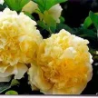 4f37fa40-b811-4e55-a0d0-2b4ec0a93b15-i-2026-08-12t113625.735.webp