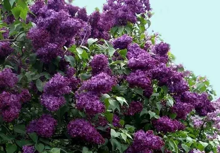 00c22a83-b112-411e-8dcd-a9ced7a5f902-i-2026-08-06t110229.768.webp