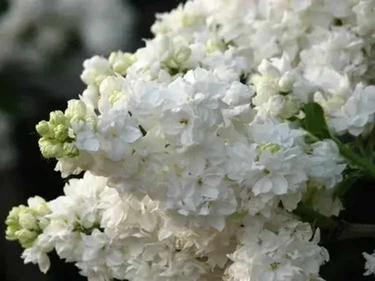 07570778-7c7b-4940-92dc-3f8a82cf71f2-i-2026-08-07t145416.492.webp