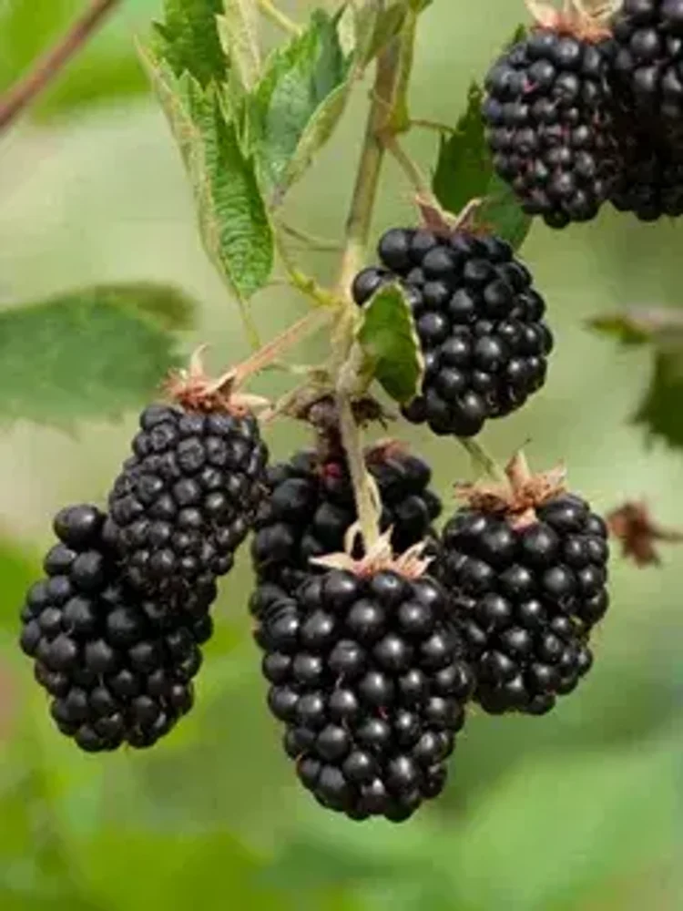 7f6c40ad-d0d6-4c59-a3a8-6497e3a5000b-i-2026-08-07t105837.025.webp