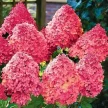 b51e83b6-304e-4baa-aab2-7e05c01aed37-i-2026-08-05t081305.050.webp