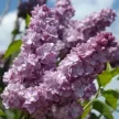 59a84d7f-f3b7-4baa-920b-4943ae9b67df-i-2026-08-07t090023.874.webp
