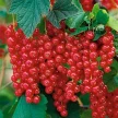 44ea9f99-0398-47ca-94c0-27b586577186-i-2026-08-12t154948.669.webp