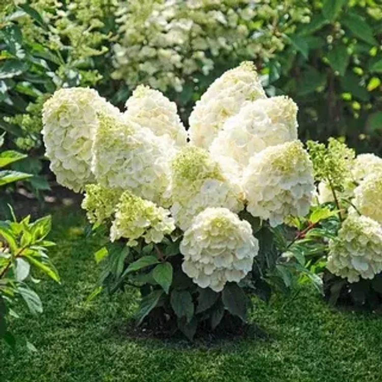7cb0b233-31ab-459c-b3a2-b43a62781e98-i-2026-08-04t140043.342.webp