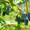 cd6e38cf-5b84-4afe-9ed8-5c80e04286a0-i-2026-08-18t145409.725.webp