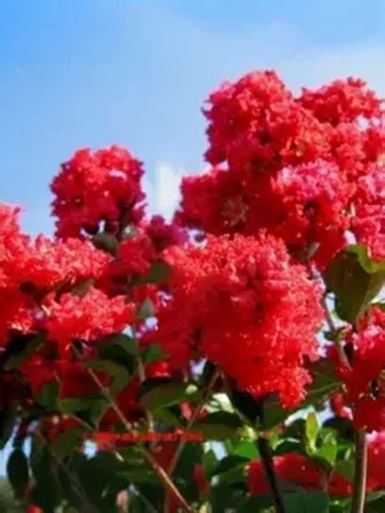 94901f00-19dd-409b-9791-ee4e1d461a9b-i-2026-08-07t131956.530.webp