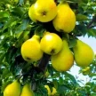 9ca0a568-7ec0-429e-a2d7-a6cd892a90f1-i-63.webp