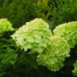 e5837897-53f0-4302-b7bd-e3d19f62b34c-i-2026-08-05t083825.303.webp