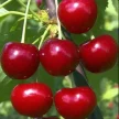 93f36104-240d-4028-b851-232887c249f8-i-2026-09-08t105111.713.webp
