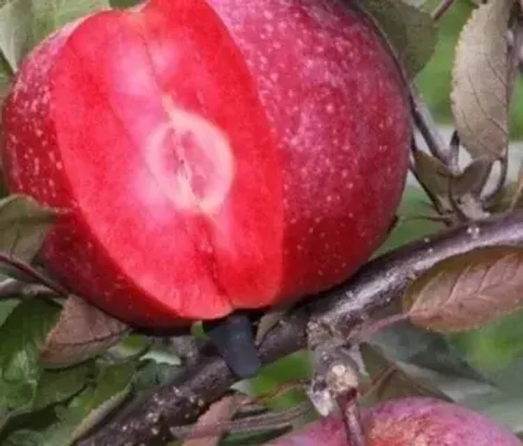 fb1f3e93-63a2-4582-ac02-380f2a539769-i-2026-08-28t104610.505.webp
